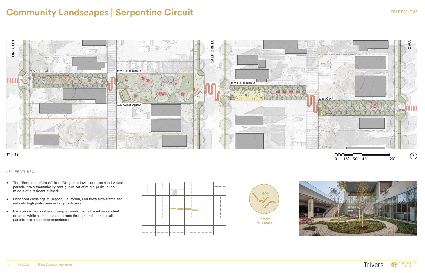 Plan view of the Serpentine Circuit